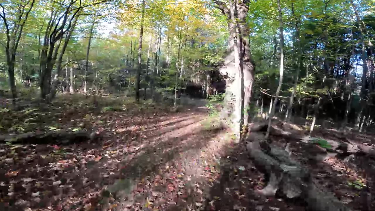 🌳2024🍁 Hiking Through The Greenbelt Trails In Ottawa🍃🍁🌿Canada🥬☀️ Fall Edition ☀️