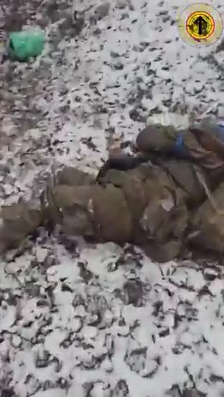 Some Consequences of the Recent Kursk Offensive