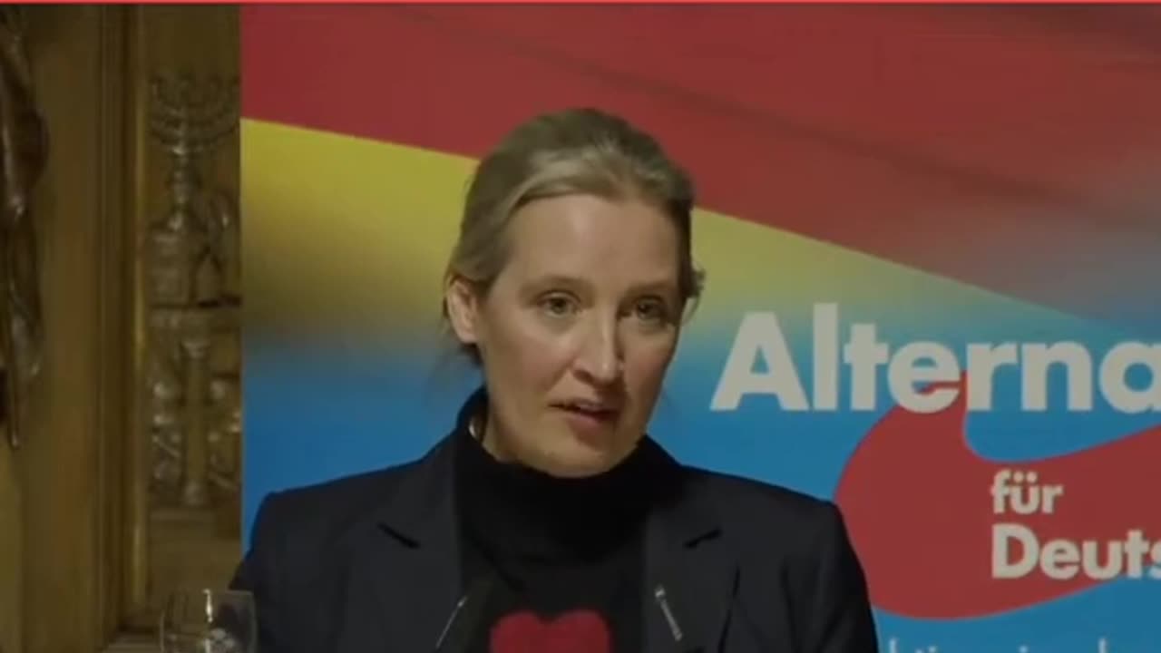 Alice Weidel - Hamburg 16.01.2 - ganze Rede