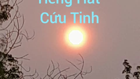 tiếng hát cứu tin ( hội long hoa )