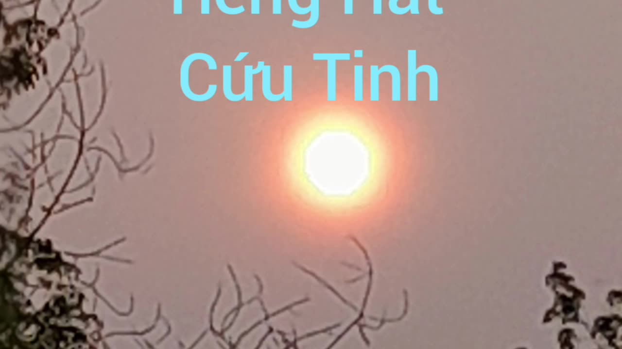 tiếng hát cứu tin ( hội long hoa )