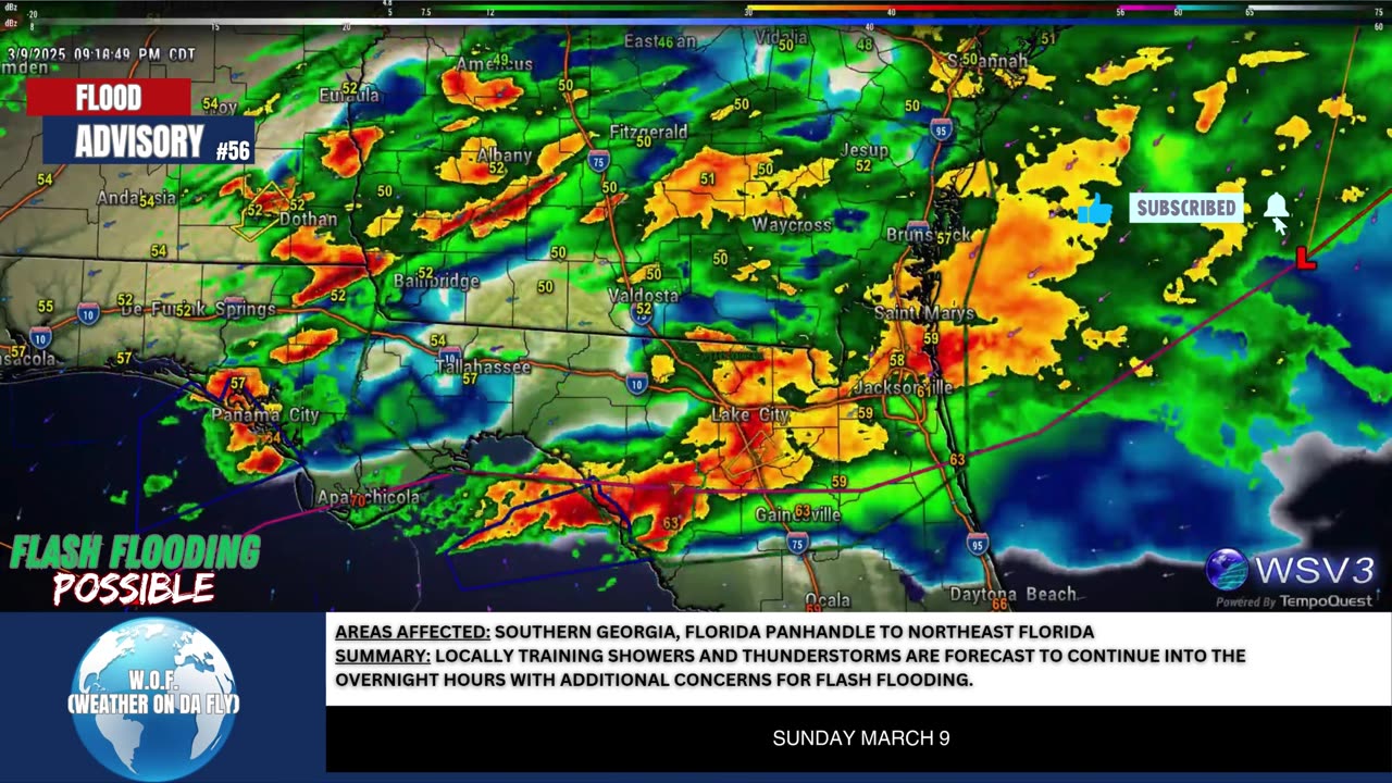 🌧️ Flash Flooding Risk Tonight: GA to NE FL! 3/9/25 #shorts #weatheralert