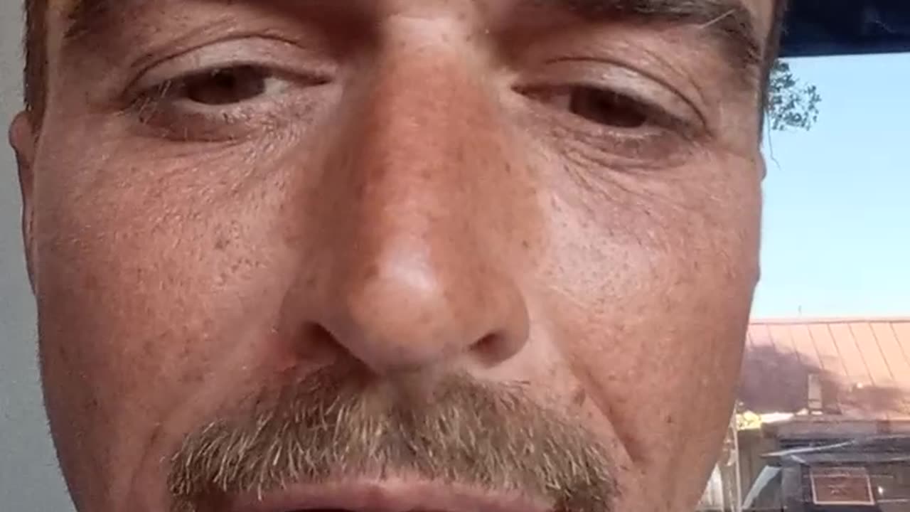 RevAlustion 36