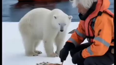 This man saved the life of a polar bear cub