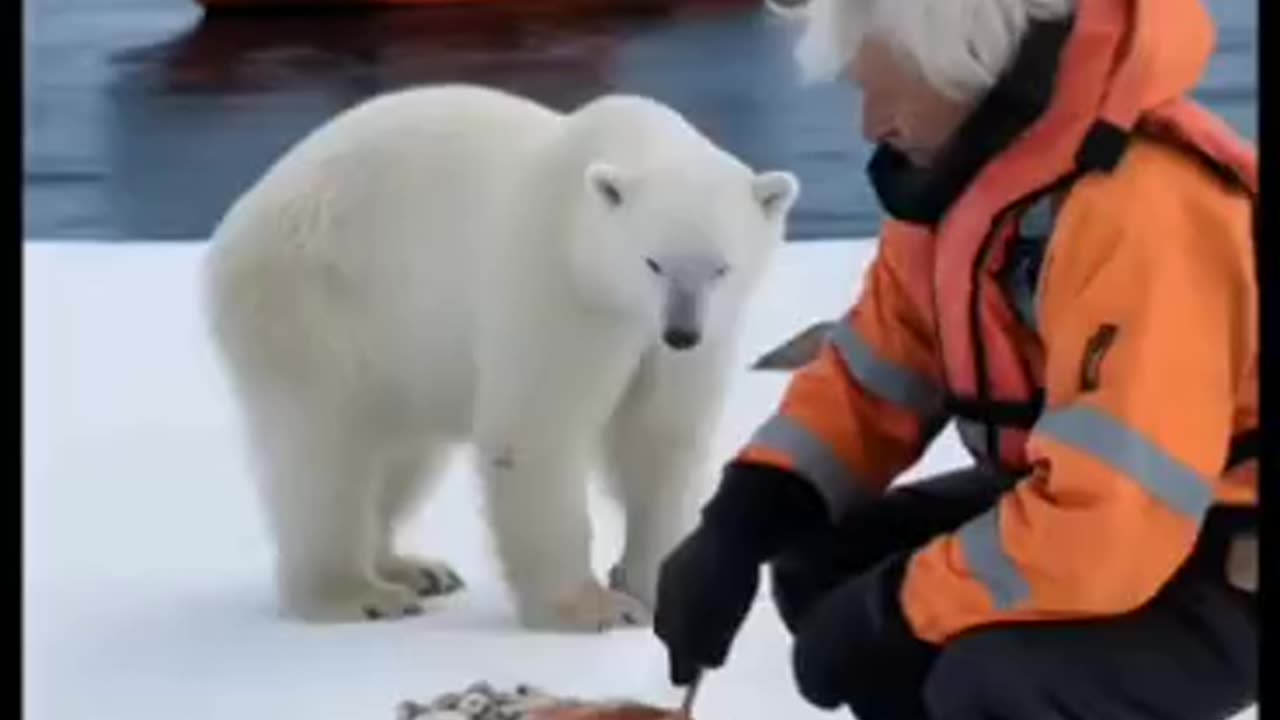 This man saved the life of a polar bear cub