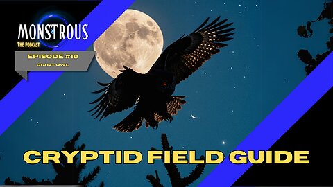 Monstrous Field Guide #10: Giant Owl