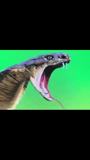 THIS IS POPE HELL 🔥