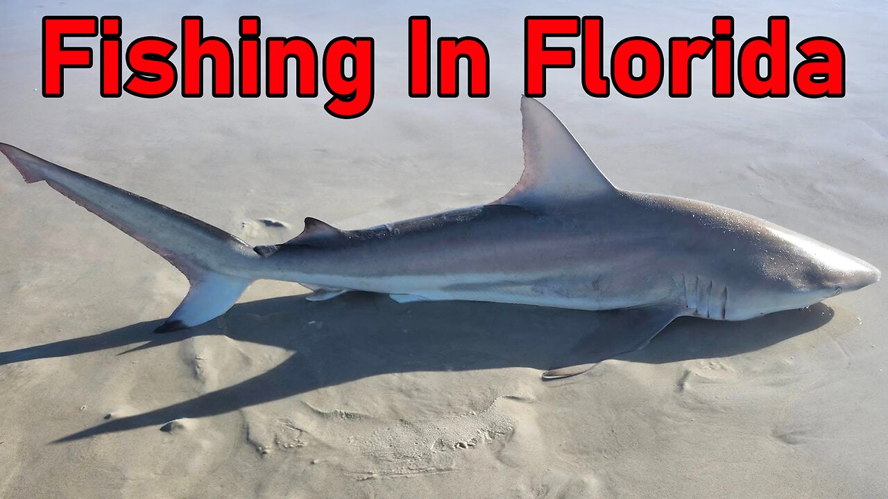 All Things Interesting #9 - Why Fishing in Florida Beats the Northern Chill