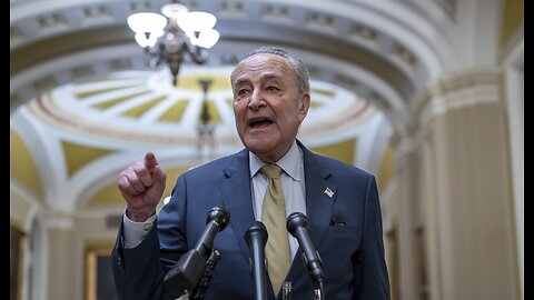 Chuck Schumer Files Hurt Feelings Report After Leavitt Leveled Him Over Toronto