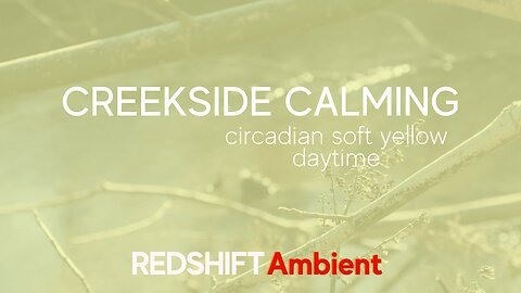 Creekside Calming - Circadian Soft Yellow - Daylight - Winter Relaxation | REDSHIFT Ambient