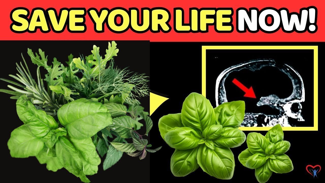 Brain Health After 50 | Just 1 Spoon Of HERB To Prevent Dementia And Alzheimer’s