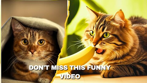 😂 Funniest animal 2025 😂 funny and fails pet