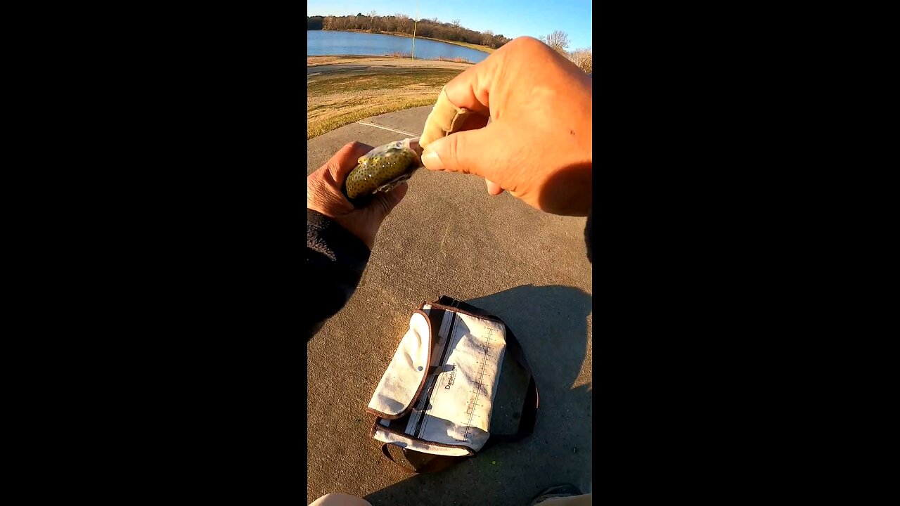 See How I Limited Out Using Visual Cues Despite Freezing (Edited) Temps #mobile #fishing #livestream