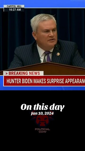Remember when Hunter Biden got up and left during congressional testimony?