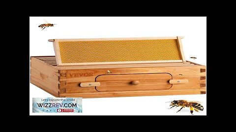 VEVOR Bee Hive 10-Frame Complete Beehive Kit 100% Beeswax Natural Wood Includes Review