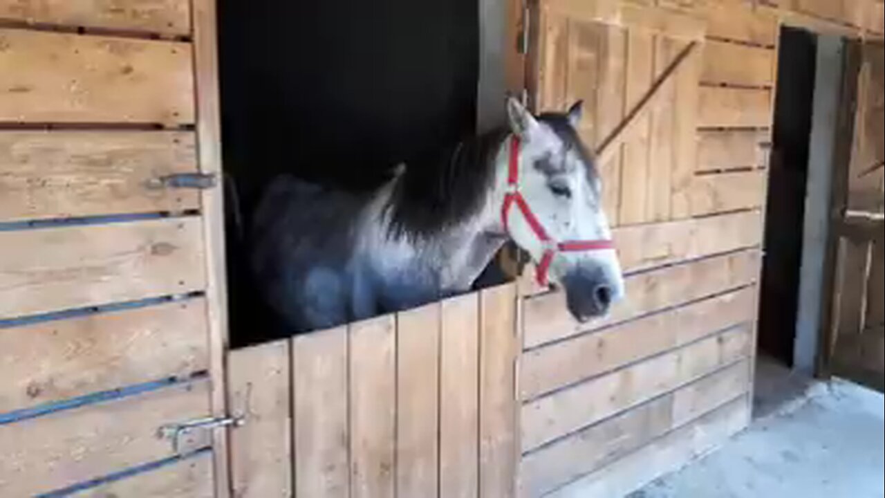 hors farming