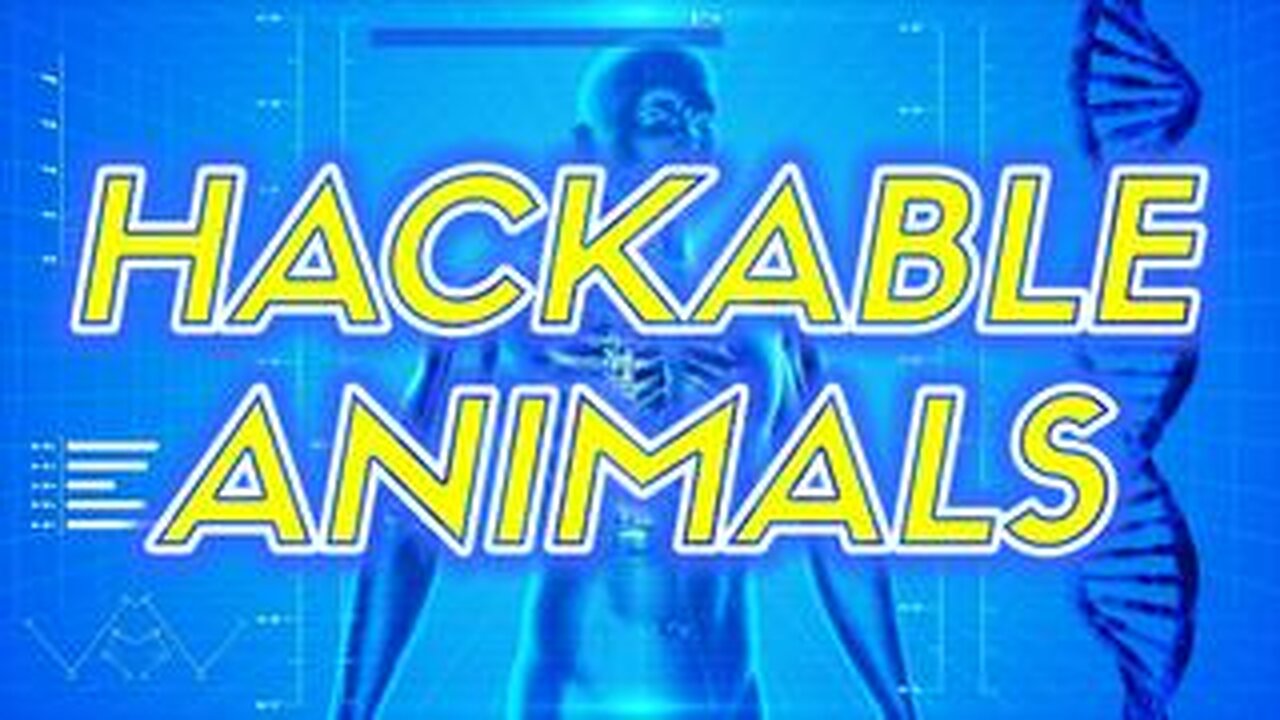 HUMANS ARE NOW HACKABLE ANIMALS!