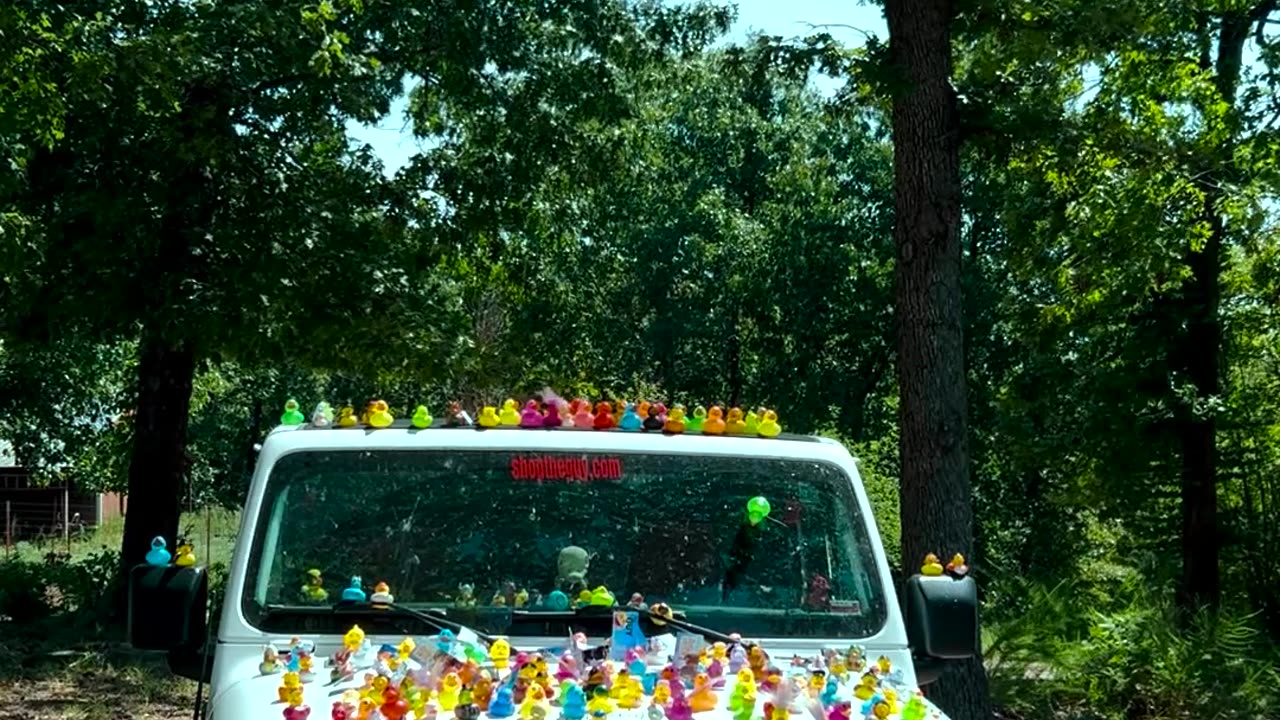 Ducked