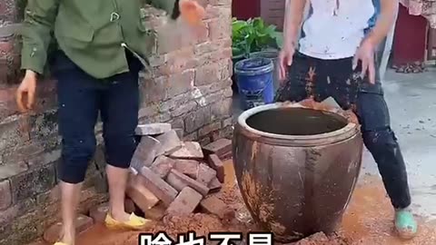 viral comedy compilation 5