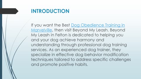 Best Dog Obedience Training in Marvelville