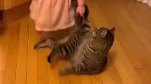 The child thinks the cat a toy 😄