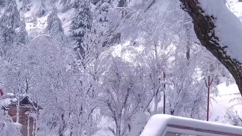 Beautiful view of snow in india Jammu and Kashmir