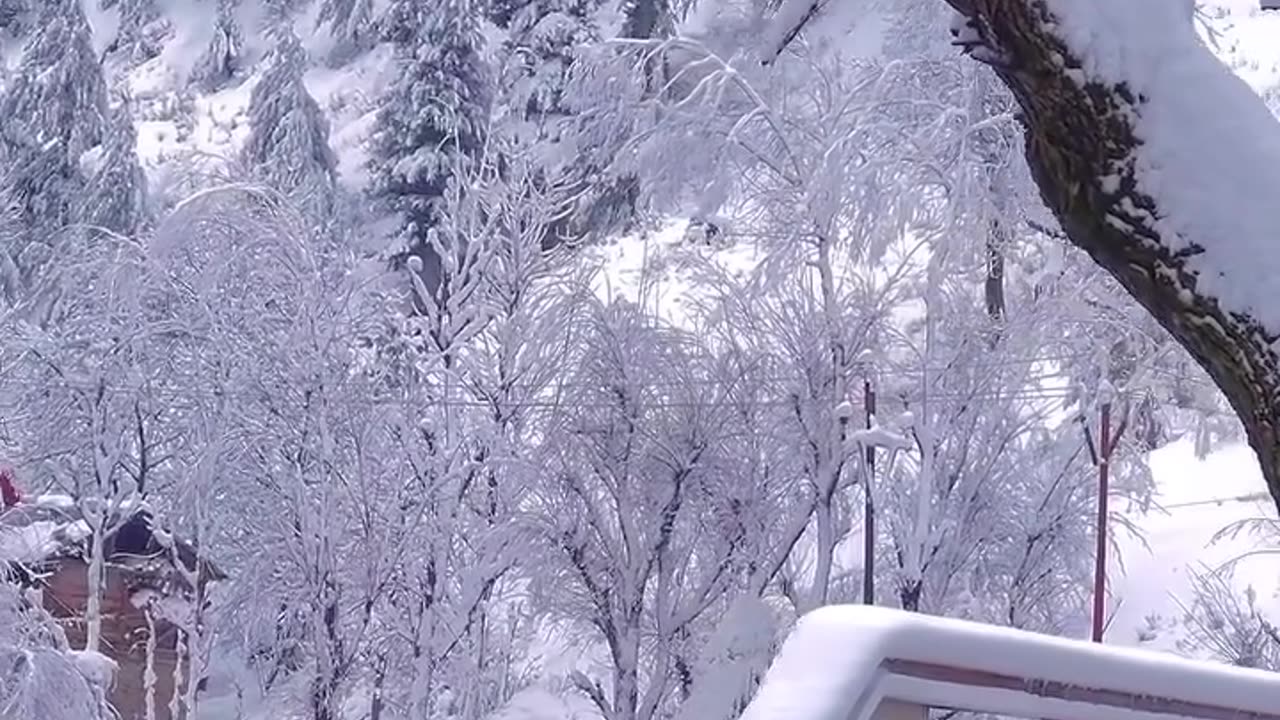 Beautiful view of snow in india Jammu and Kashmir