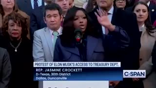 Jasmine Crockett Has Insane Meltdown in DC Over Elon Musk and President Trump at Rally