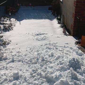 Snow on the lawn.