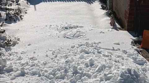 Snow on the lawn.