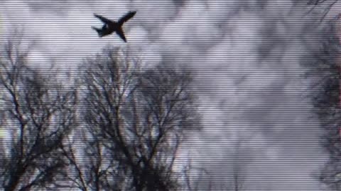flashback Jan 1982 plane crashes on take off from Reagan into Potomac. 5 survived