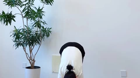 591.搖頭擺尾
