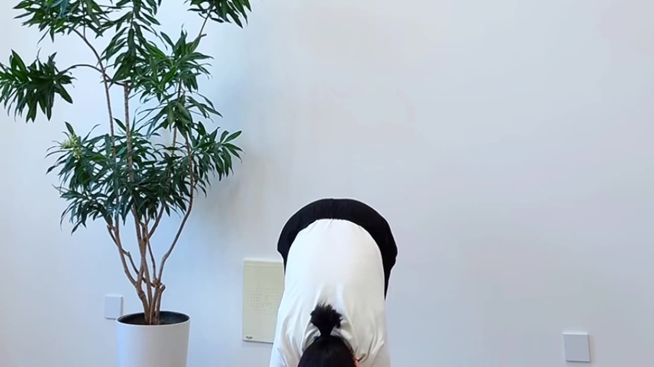 591.搖頭擺尾