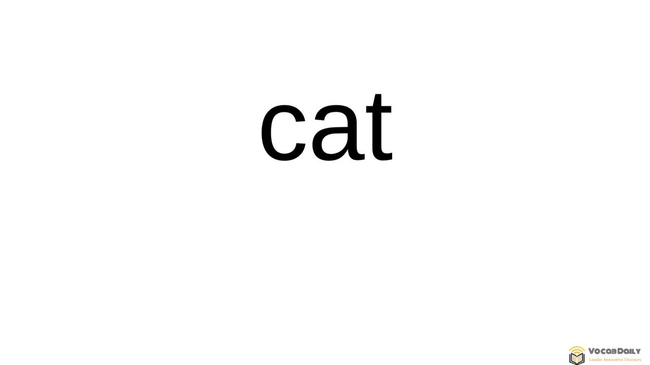 VocabDaily: Learn Vocabulary Fast with Audio Flashcards! Workbook Level 2&3 pg 132 #VocabDaily