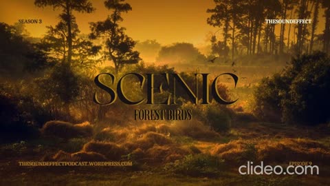 Scenic Sounds | Season 3: Episode: 9 | Forest Birds