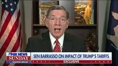 Democrats have been 'running around like Chicken Little’ since Trump took office: Sen. John Barrasso