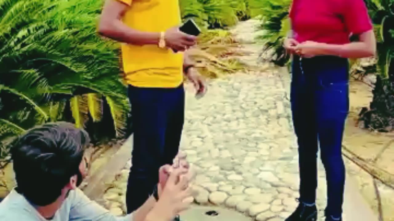 Funny video
