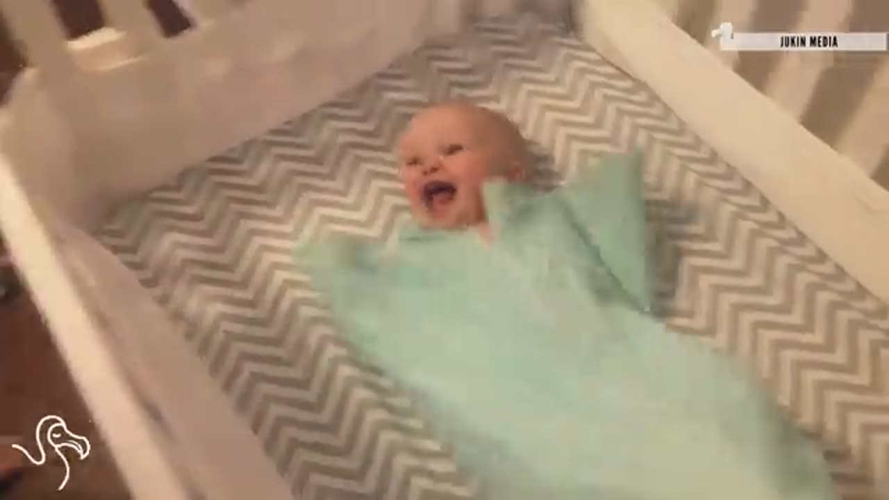 Babies Laughing at Pets | Full on Funny