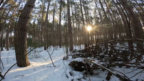 ❄️⛄2024🏂🎿 Winter Wonderland Edition ☀️🌴 Hiking Pinhey Forest Part 5 In Ottawa Canada 🍁☀️⛄