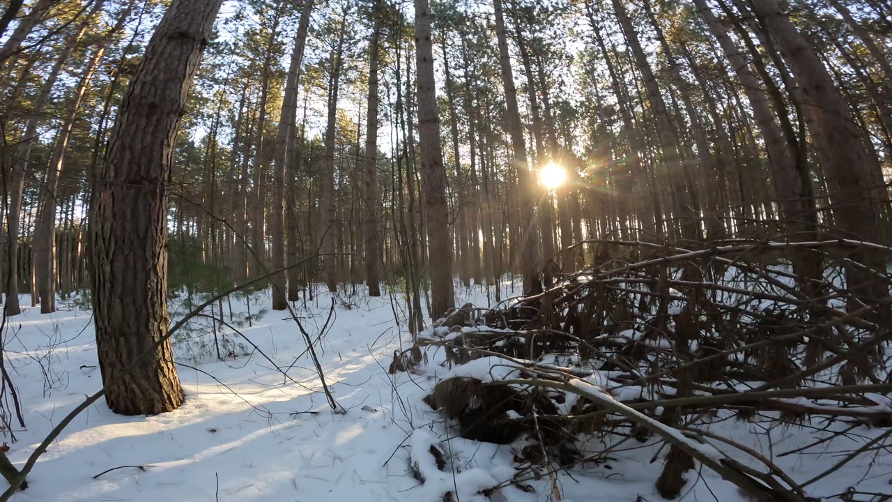 ❄️⛄🏂🎿 Winter Wonderland Edition ☀️🌴 Hiking Pinhey Forest Part 4 In Ottawa Canada 🍁☀️⛄