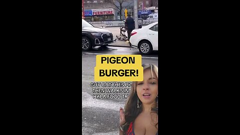 Pigeon Burger? #iykyk #pigeon #2025 #burger #burgers #fast food