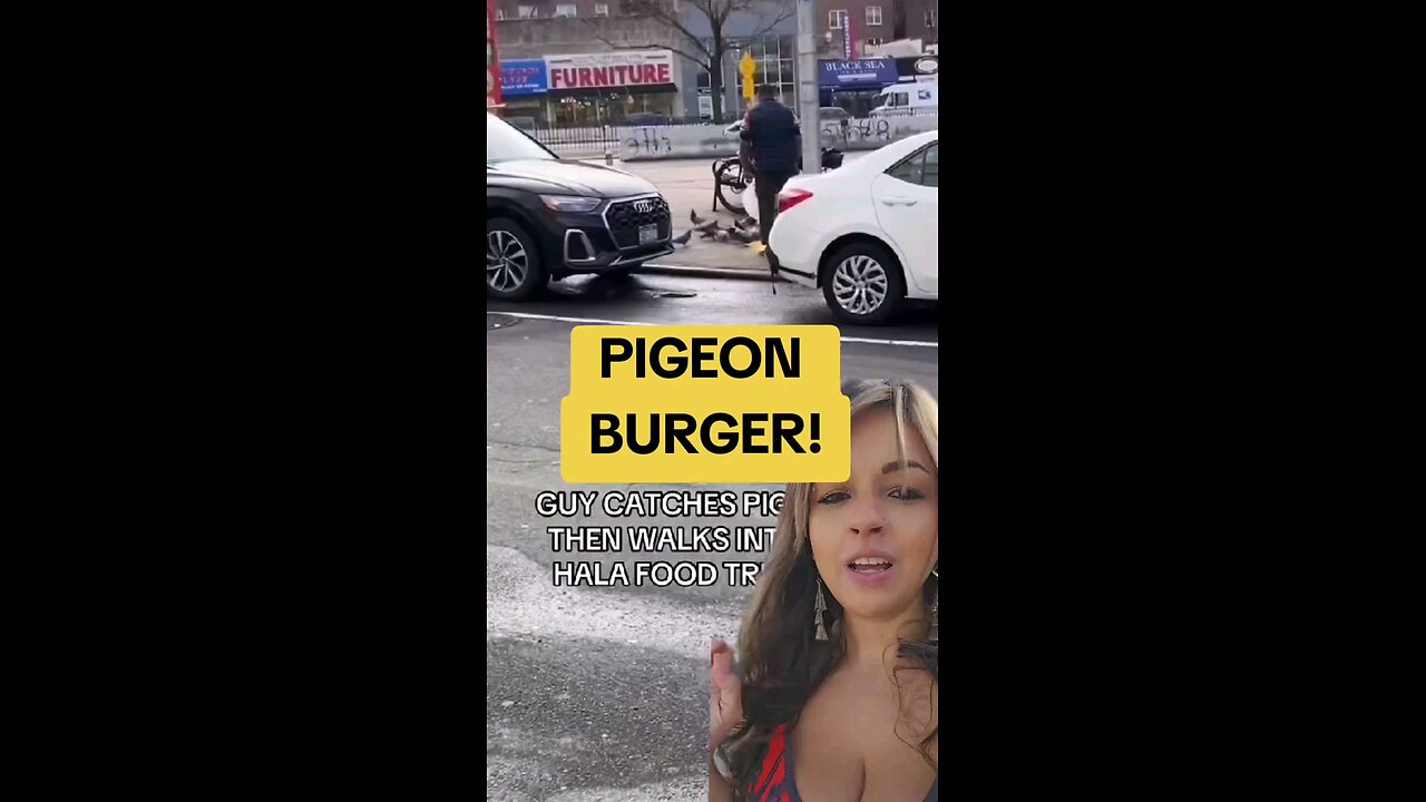 Pigeon Burger? #iykyk #pigeon #2025 #burger #burgers #fast food