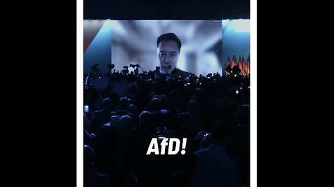Elon4AFD - Elon Musk unterstützt die AfD