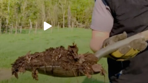 Laying compost for new growth