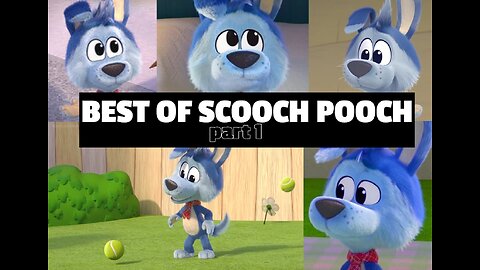 Best of Scooch Pooch COMPILATION