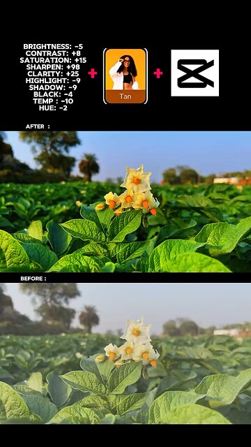 #CapCut Colour Edit 🌿👻🤭 Jimid Kayed #foryou #Viral #trending #funny #Viralvideo