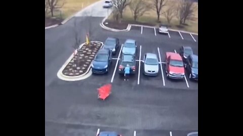 Shopping cart attacks elderly woman. Unprovoked.