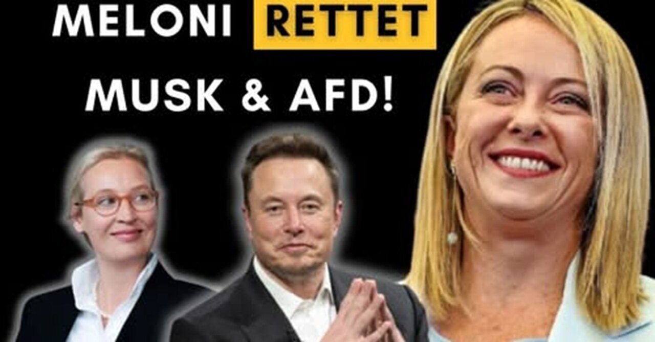 Meloni zerstört linken Journalisten, der Musk & AfD kritisiert