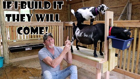 Super Easy DIY goat milking stand ~ Step by Step