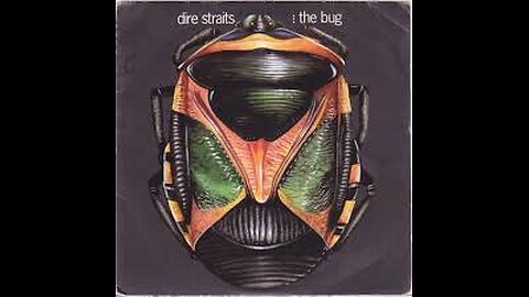 Dire Straits - The Bug